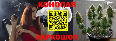 бошки Шахты
