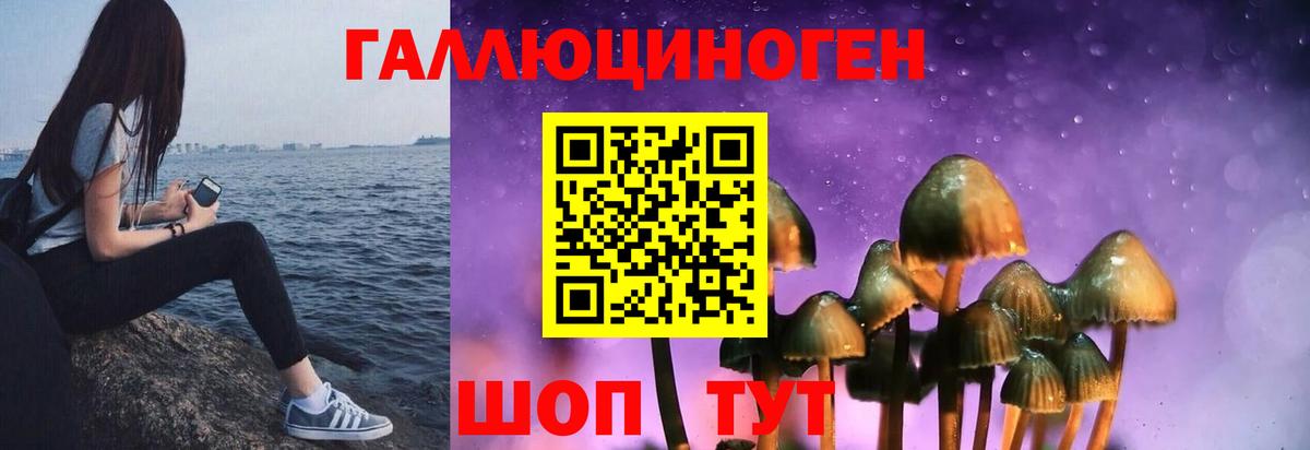 Семёнов  Галлюциногенные грибы мухоморы  Вход с VPN 